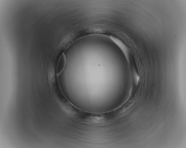 X0000110680552200906121208
