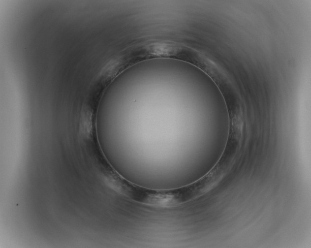 X0000110680554200906121208