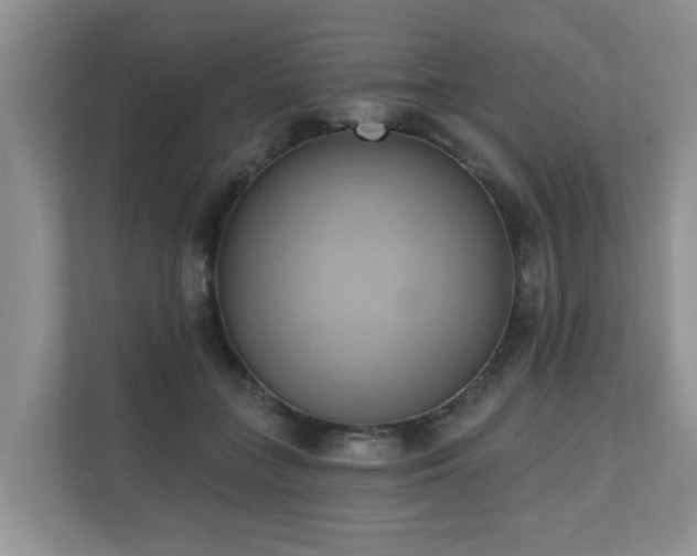 X0000110680555200906121208