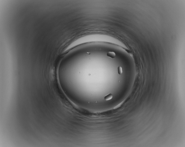X0000110680556200906121208
