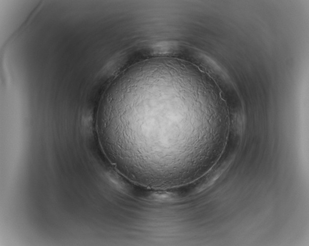 X0000110680557200906121208