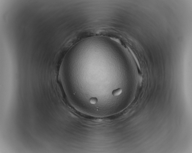 X0000110680558200906121208