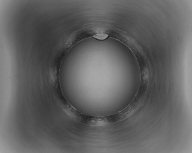 X0000110680559200906121208