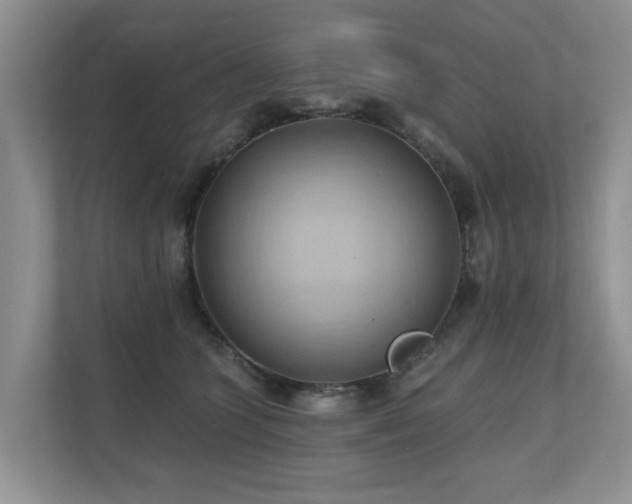 X0000110680563200906121208