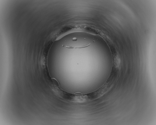 X0000110680571200906121208