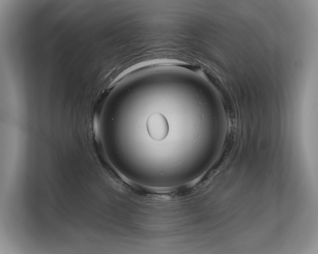 X0000110680572200906121208