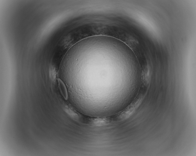X0000110680574200906121208