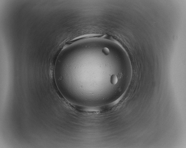 X0000110680576200906121208