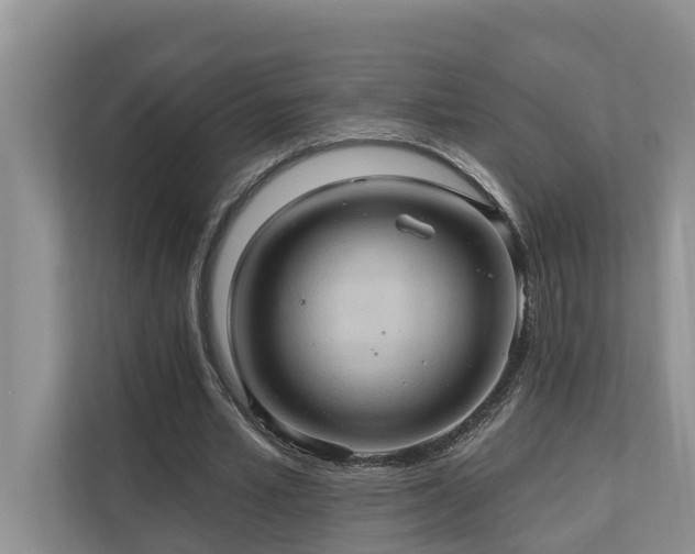 X0000110680581200906121208