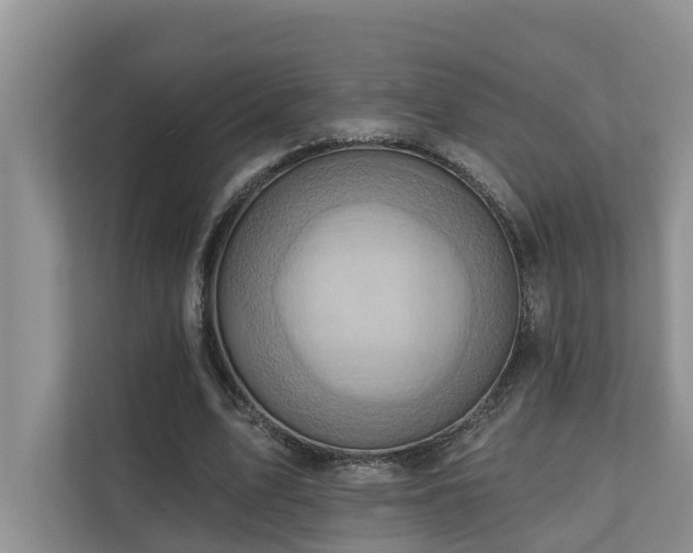 X0000110680583200906121208