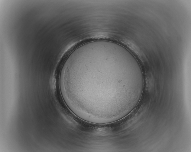 X0000110680584200906121208