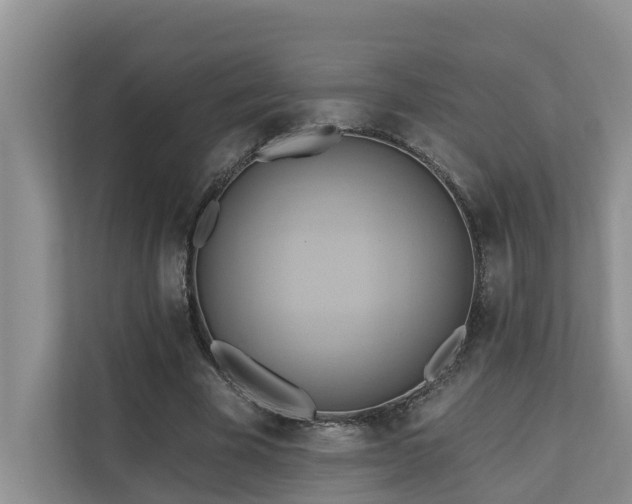 X0000110680585200906121207