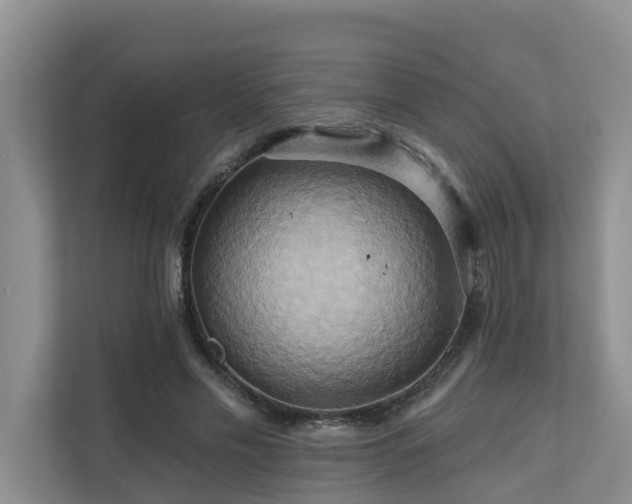 X0000110680589200906121207
