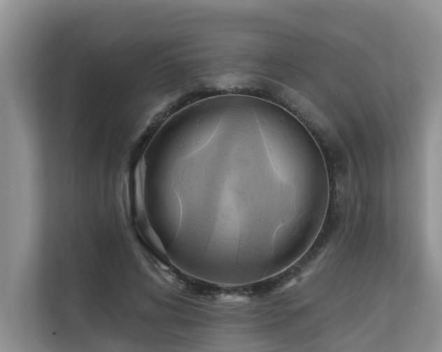 X0000110680592200906121207