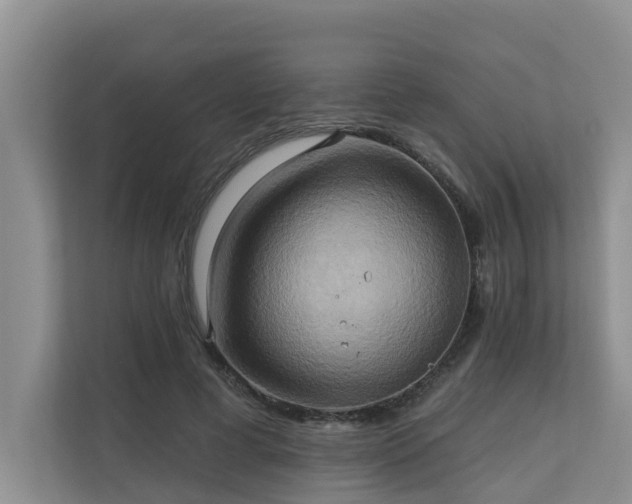 X0000110680593200906121207