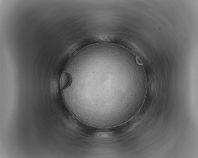 X0000110680595200906121207