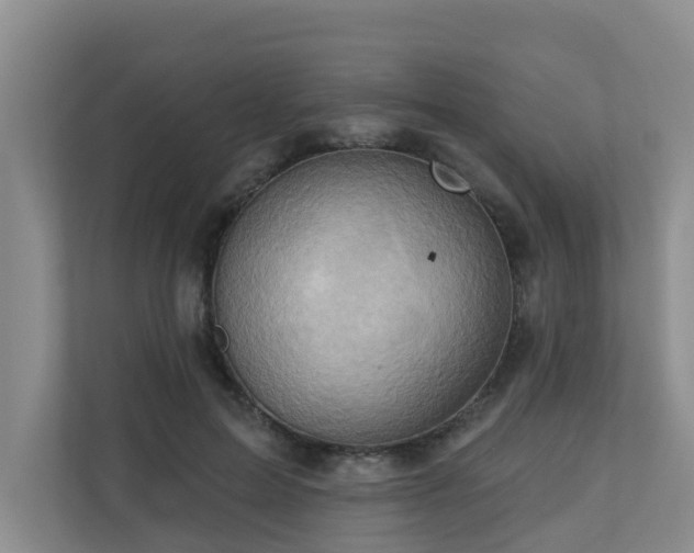 X0000110680599200906121207
