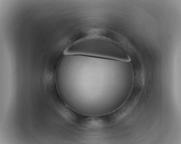 X0000110680601200906121207
