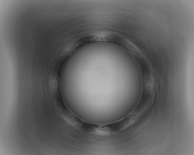 X0000110680603200906121207