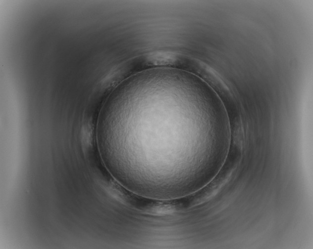 X0000110680604200906121207