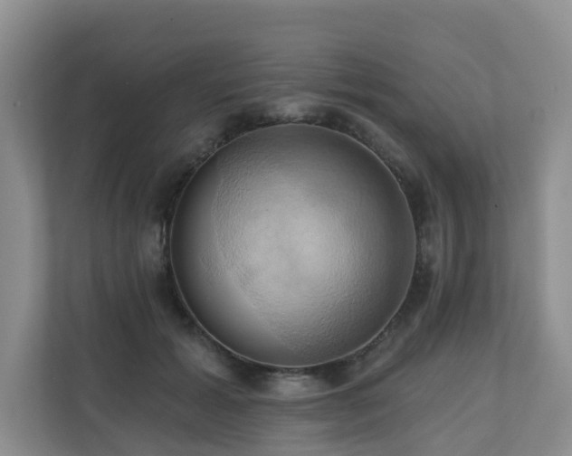X0000110680605200906121207