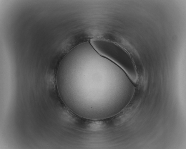 X0000110680609200906121207