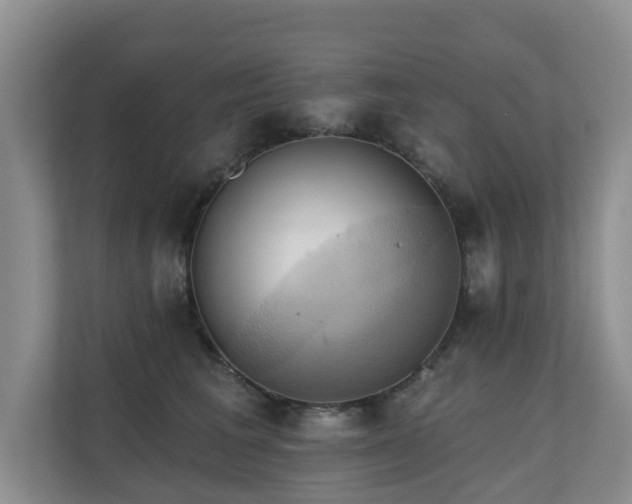 X0000110680613200906121207
