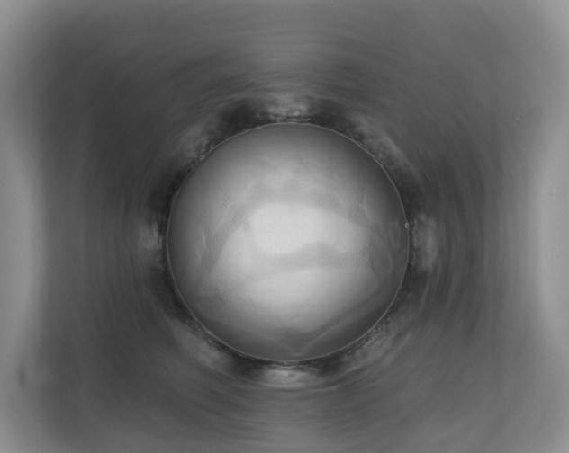 X0000110680614200906121207