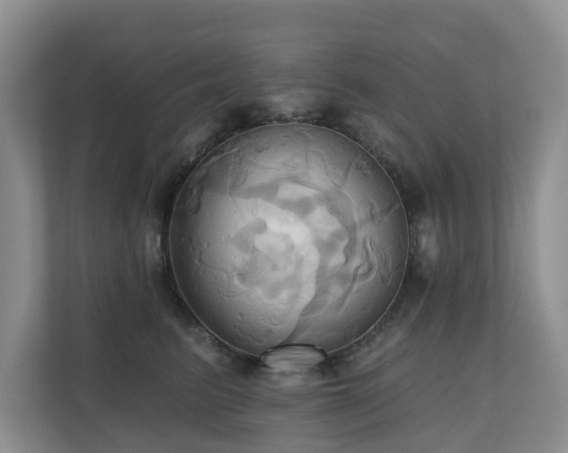 X0000110680615200906121207