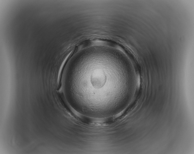 X0000110680621200906121207
