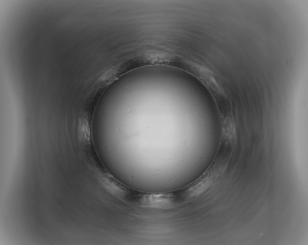 X0000110680622200906121207