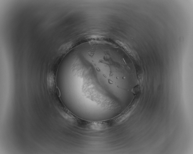 X0000110680623200906121207