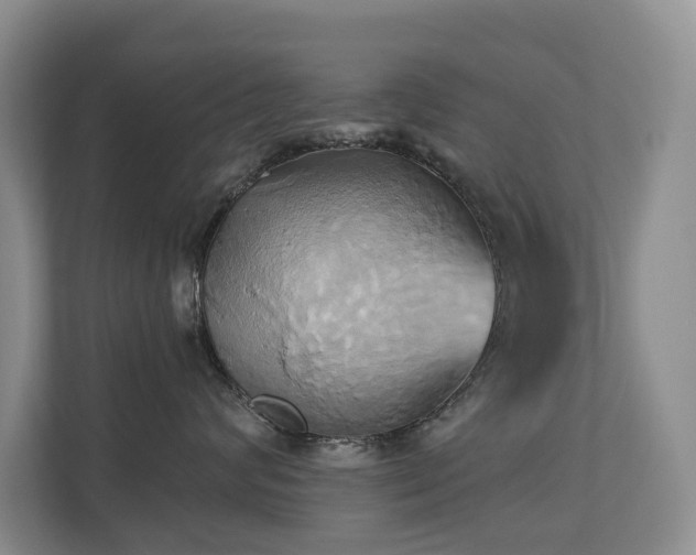 X0000110680624200906121207