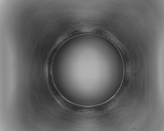 X0000110680626200906121206