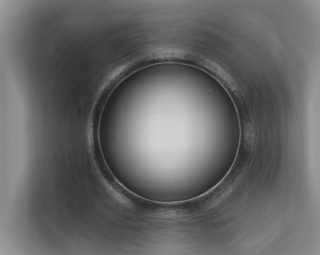 X0000110680629200906121206