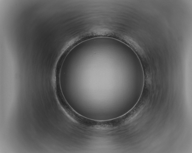 X0000110680630200906121206