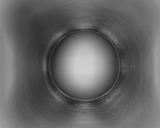 X0000110680631200906121206