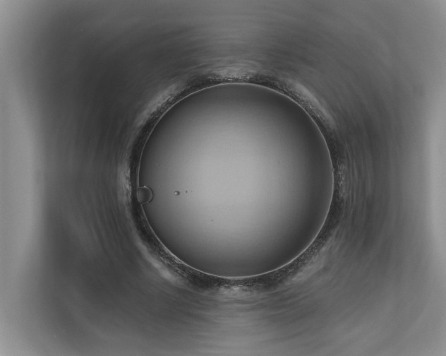 X0000110680634200906121206