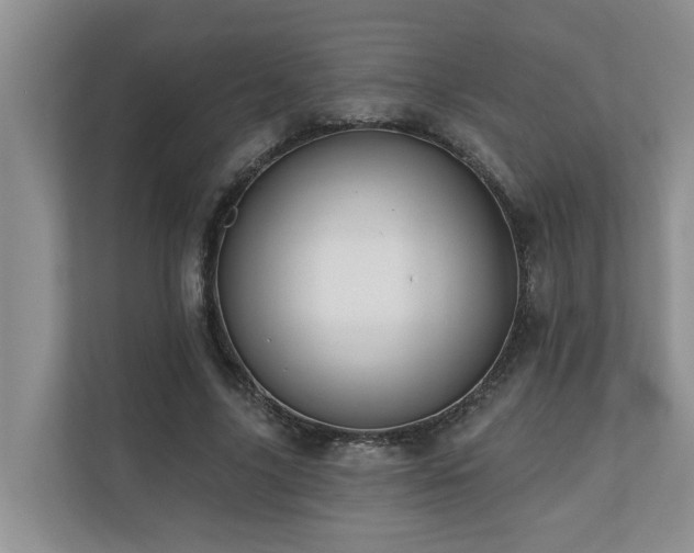 X0000110680635200906121206