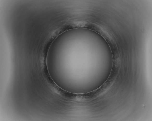 X0000110680641200906121207