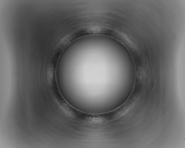 X0000110680645200906121207