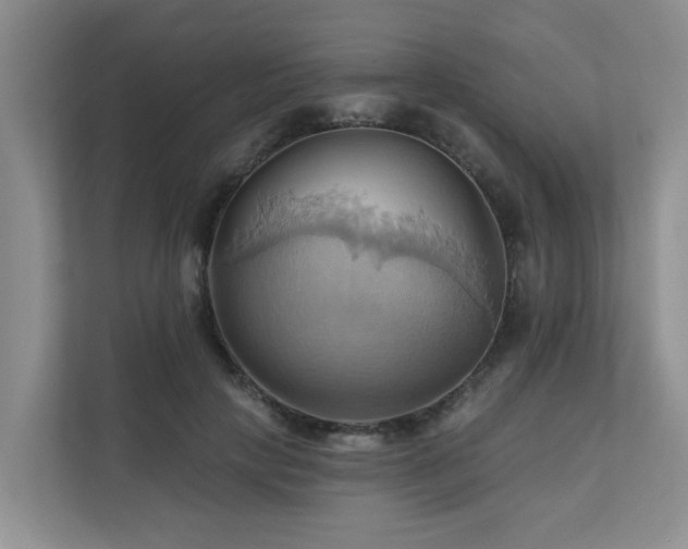 X0000110680649200906121207