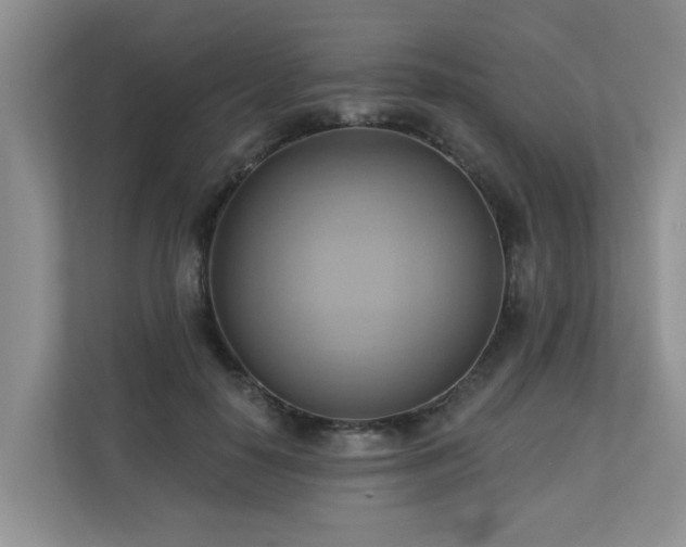 X0000110680650200906121207