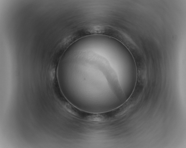X0000110680652200906121207