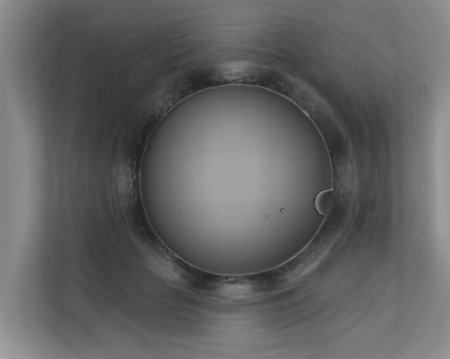 X0000110680653200906121207