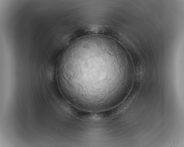 X0000110680656200906121207