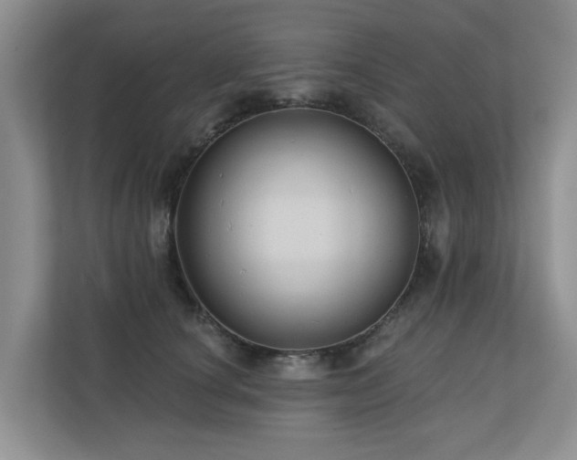 X0000110680660200906121207