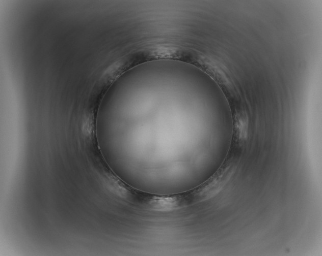 X0000110680665200906121207