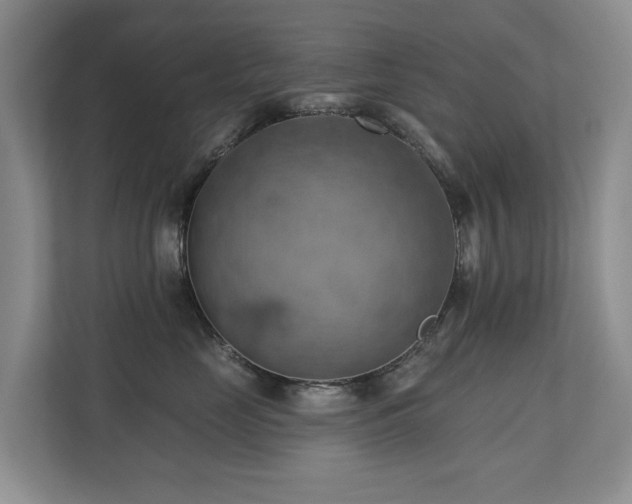X0000110680669200906121207