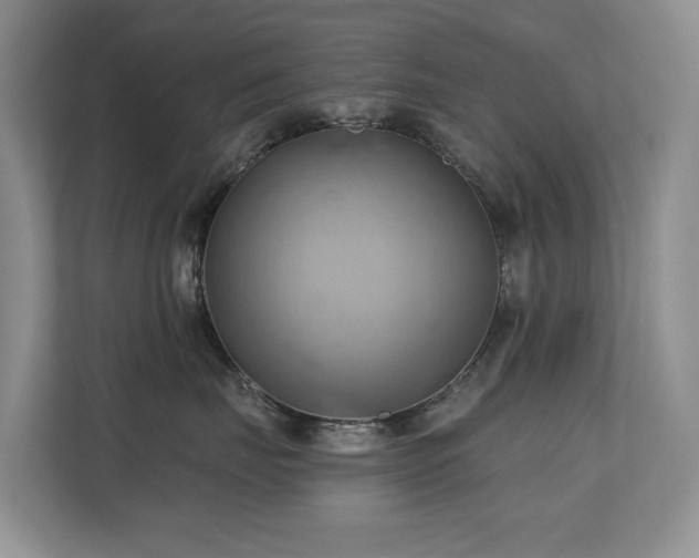 X0000110680671200906121207